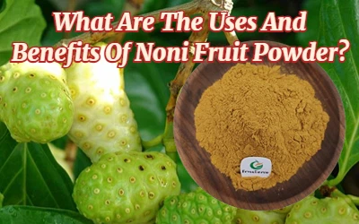 Noni Fruit kukunidan qanday foydalanish va foydalari bor?