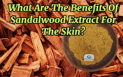 Sandal daraxti ekstraktining teriga qanday foydalari bor?