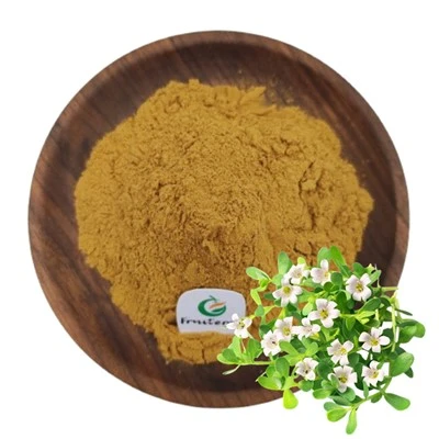 Bacopa Monnieri ekstrakti