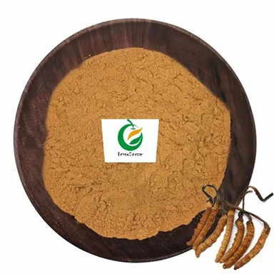 Cordyceps Sinensis ekstrakti